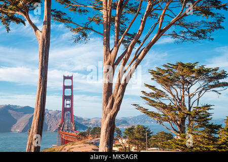 Famous Golden Gate Bridge framed by old cypress trees at Presidio Park on a beautiful sunny day with blue sky and clouds, San Francisco, California Stock Photo