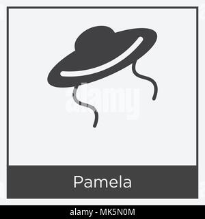 Pamela icon isolated on white background with gray frame, sign and symbol Stock Vector