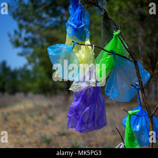 many multicolored plastic bags hanging on a pine branch against a background of green forest on a summer day, the concept of pollution of the environm Stock Photo