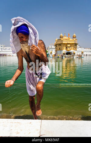 Amritsar, Punjab, India : An Old Sikh man going out of the Amrit Sarovar pool at the Harmandir Sahib or Golden Temple holding holy water in his hand a Stock Photo