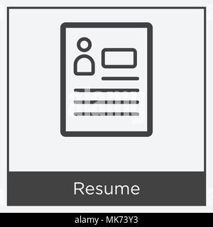 Resume icon isolated on white background with gray frame, sign and symbol Stock Vector