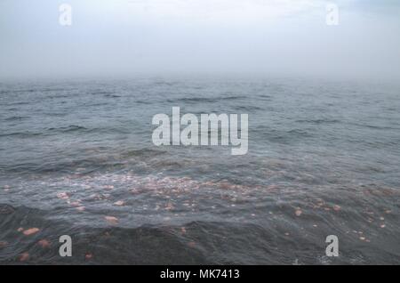 Black Beach is on the Northern Shore of Lake Superior by Silver Bay made of leftover Taconite Byproducts Stock Photo
