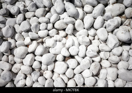 Top view of naturally polished white pebbles. Stock Photo