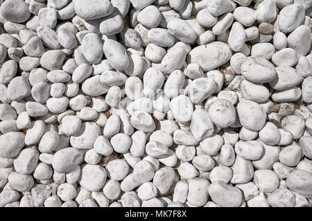 Top view of naturally polished white pebbles. Stock Photo