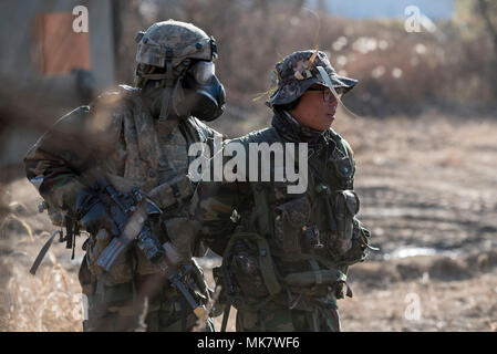 TWIN BRIDGES, Republic of Korea – A Soldier from Company C, 1st Battalion, 9th Cavalry Regiment, 2nd Armored Brigade Combat Team, 1st Cavalry Division apprehends a Republic of Korea (ROK) Army Soldier acting as the opposing force (OPFOR) during Suho Lightening; a combined training exercise with the Republic of Korea Army and 1-9 Cav. on November 15, 2017. 2ABCT conducted live training exercises in conjunction with Warfighter 18-02; a peninsula wide simulated, division-level training exercise incorporating U.S. and Korean armies. Stock Photo