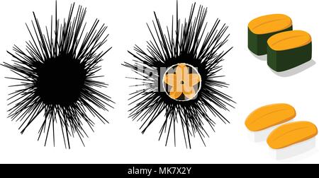 Raw Urchin and Uni sushi isolated on white, vector art Stock Vector