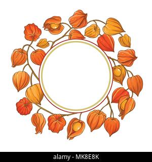 phisalis branch vector frame on white background Stock Vector