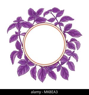 basil plant vector frame on white background Stock Vector