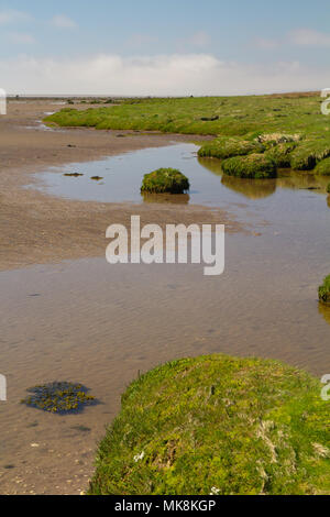 Empty beach at Powfoot, Scotalnd Stock Photo