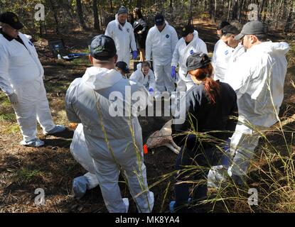 Participants examine a ‘grave site’ during a clandestine grave and human remains recovery training at Joint Base Charleston, S.C., Nov. 14, 2017. The training was the first evolution of its kind to be offered by the Naval Criminal Investigative Service here and was open to base, local law enforcement and local county coroner offices. (Photo by Airman 1st Class Allison Payne) Stock Photo