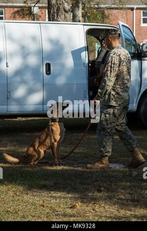 U.S. Marine Corps Cpl. Diego Anaya, dog handler, Provost Marshal Office, Headquarters and Support Battalion, Marine Corps Installations East, Marine Corps Base Camp Lejeune, works with his military working dog before a demonstration on MCB Lejeune, N.C., Nov. 17, 2017. PMO demonstrated the dogs’ capabilities in basic obedience, drug and bomb detection, and controlled aggression. (U.S. Marine Corps photo by Pfc. Isaiah Gomez) Stock Photo
