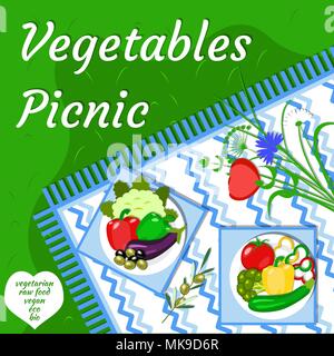 Vegetables picnic in the open air. Top view. Green grass, tablecloth, napkins, plates, bouquet. Pepper, eggplant, cauliflower, olives, tomato, broccol Stock Vector