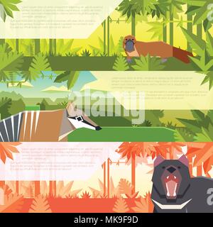 Vector image of the Set of flat banners with australian animals platypus, numbat and tasmanian devil Stock Vector