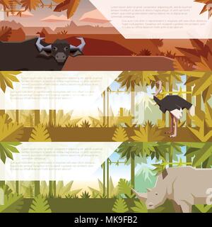 Vector image of the Set of flat banners with african animals buffalo, ostrich and rhinoceros Stock Vector