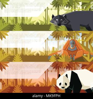 Vector image of the Set of flat banners with asian animals binturong, orangutan and Panda Stock Vector