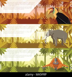 Vector image of the Set of flat banners with asian animals hornbill, elephant and orangutan Stock Vector