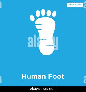 Human Foot vector icon isolated on blue background, sign and symbol Stock Vector