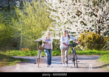Beautiful senior couple with bicycles outside in spring nature. Stock Photo