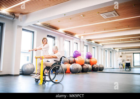 Young woman physiotherapist working with a senior man in wheelchair. Stock Photo