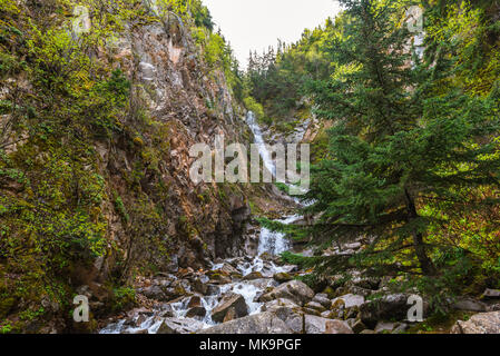 Gurgling stream rushing down a remote gorge in Euboea island, Greece Stock  Photo - Alamy