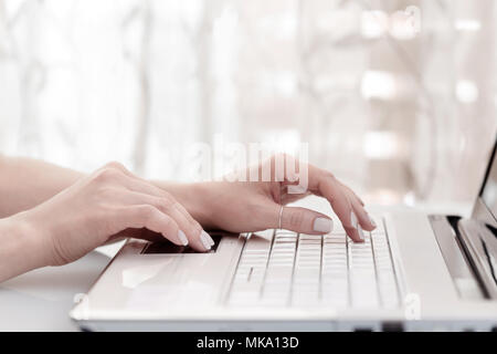 Close up of female hands using modern computer, high key. Blogger concept Stock Photo
