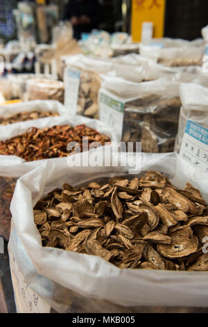 It is a photograph taken in the biggest Chinese medicine market in Seoul. Various herbal medicines are seen. Stock Photo