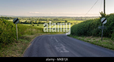 A country lane runs through the agricultural landscape of the Blackmore Vale in North Dorset. Stock Photo