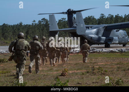 A joint special operations force of Special Tactics operators from the 23rd Special Tactics Squadron and U.S. Army Special Forces Soldiers from the 7th Special Forces Group run to board a CV-22 Osprey from the 8th Special Operations Squadron while performing a joint capabilities demonstration for Secretary of the Air Force Heather Wilson at Eglin Range Complex, Florida, May 3, 2018. While at the range, Wilson received a joint capabilities demonstration by Special Operations Forces assigned to the 23rd STS and 7th SFG. (U.S. Air Force photo by Master Sgt. Jason Robertson/ Released) Stock Photo