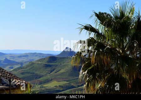 Close-up of a Palm and Monte Formaggio in the Background, Mazzarino, Sicily, Italy, Europe Stock Photo