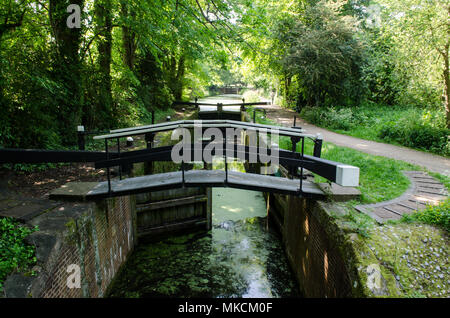 The Basingstoke Canal climbs through a set of locks in woodland between Woking and Deepcut in Surrey. Stock Photo