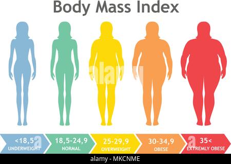 Vector illustration with scale of underweight to extremely obese man  silhouette Stock Vector Image & Art - Alamy