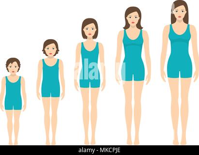 Women's body proportions changing with age. Girl's body growth stages ...