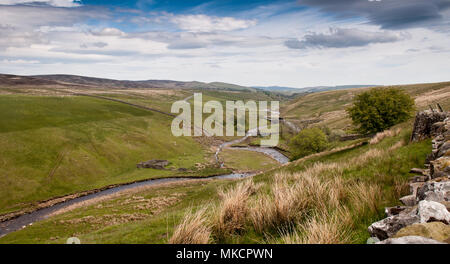 The Lune Head Beck flows through Lunedale at Grains o' th' Beck under the moors of the North Pennines in the Teesdale district of County Durham. Stock Photo