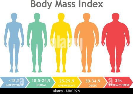 Vector illustration with scale of underweight to extremely obese man  silhouette Stock Vector Image & Art - Alamy