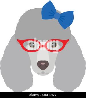 Poodle hand drawing dog vector isolated illustration on white ...