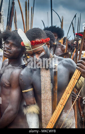 Wamena, Papua, Indonesia, 8/9/2016: Dani warriors at the Baliem Valley Festival Stock Photo