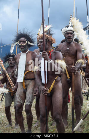 Wamena, Papua, Indonesia, 8/9/2016: Dani warriors at the Baliem Valley Festival Stock Photo