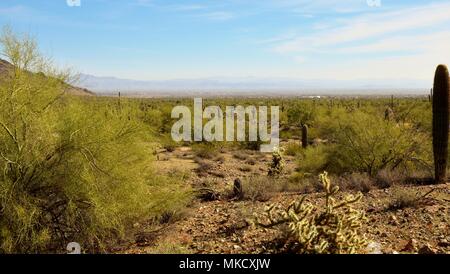 San Tan Mountain Regional Park Is over 10,000 acres in the lower Sonoran Desert. Beautiful trails for hiking, biking and horseback riding. Stock Photo