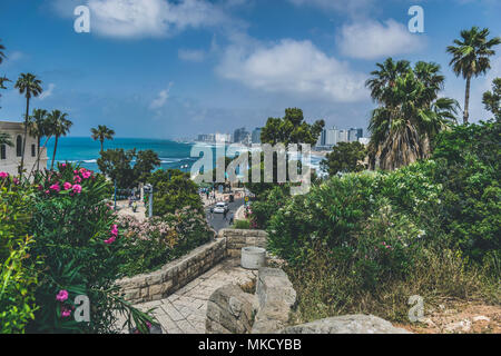 have a good time with friends on traveling Stock Photo