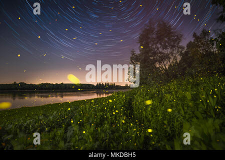 Night among star and fireflies, side of the Po river in the north of Italy