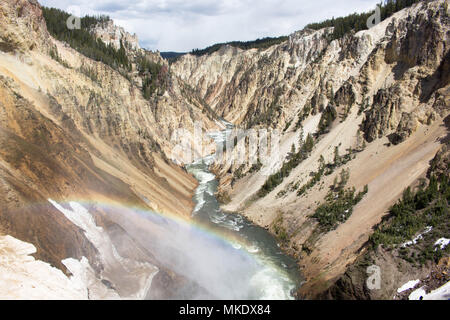 Lower Falls Waterfall with rainbow in the Grand Canyon of the Yellowstone Park, USA Stock Photo