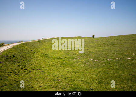 The Trundle, an Iron Age hill fort, on the South Downs National Park, near the Goodwood Estate in Chichester, West Sussex, UK Stock Photo