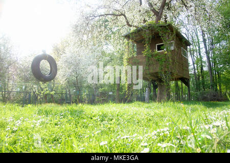 House on tree Stock Photo