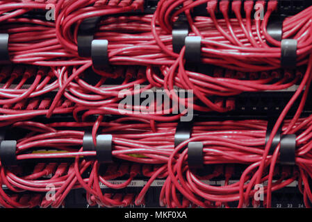 Rear of computer server, showing wiring loom Stock Photo