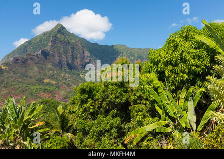 Temetiu village french polynesia