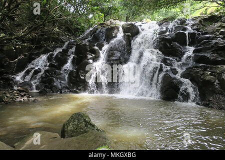 Interesting waterfall in Chamarel plain. Rochester Falls, a waterfall in a forest near Souillac, south of Mauritius island. Stock Photo