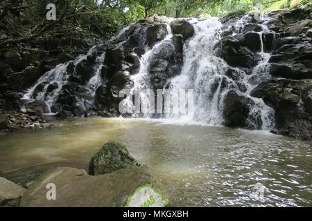 Interesting waterfall in Chamarel plain. Rochester Falls, a waterfall in a forest near Souillac, south of Mauritius island. Stock Photo