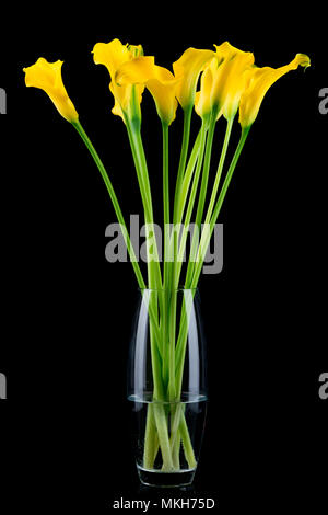 Photo of the bunch of callas in the vase Stock Photo