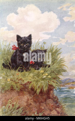 Kittens by the Sea Stock Photo