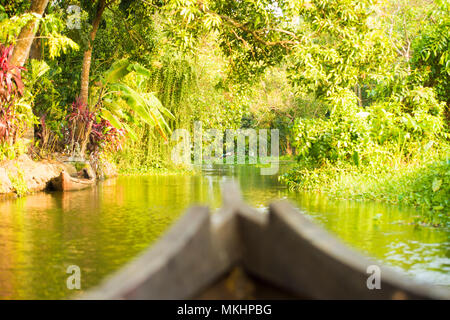 Blurred canoe sailing on the lush and green backwaters in Alleppey, Kerala, India. Stock Photo